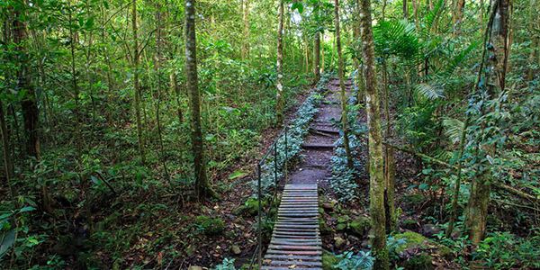 Vista panorámica de la Reserva Natural Cerro Arenal en Matagalpa