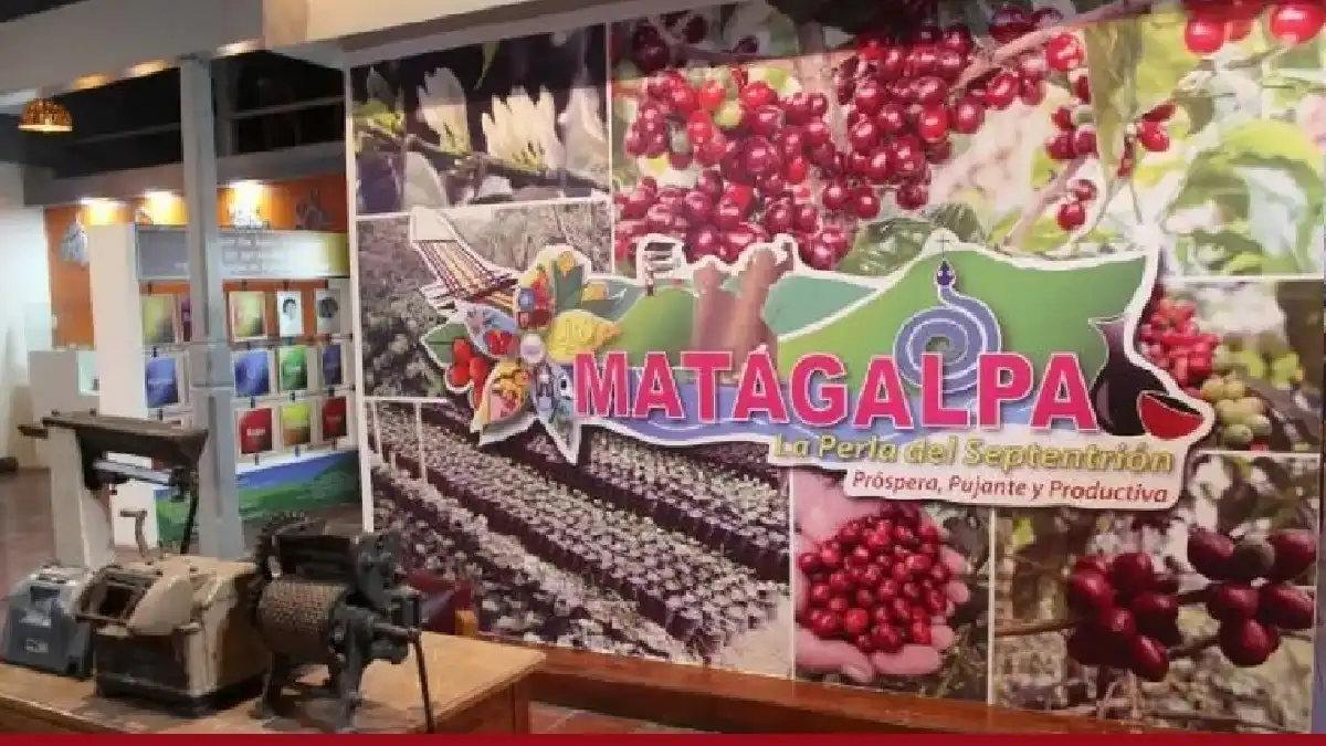 Feria del Café de Matagalpa